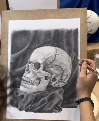 stilleben zeichnen kurs, may art studio Wien